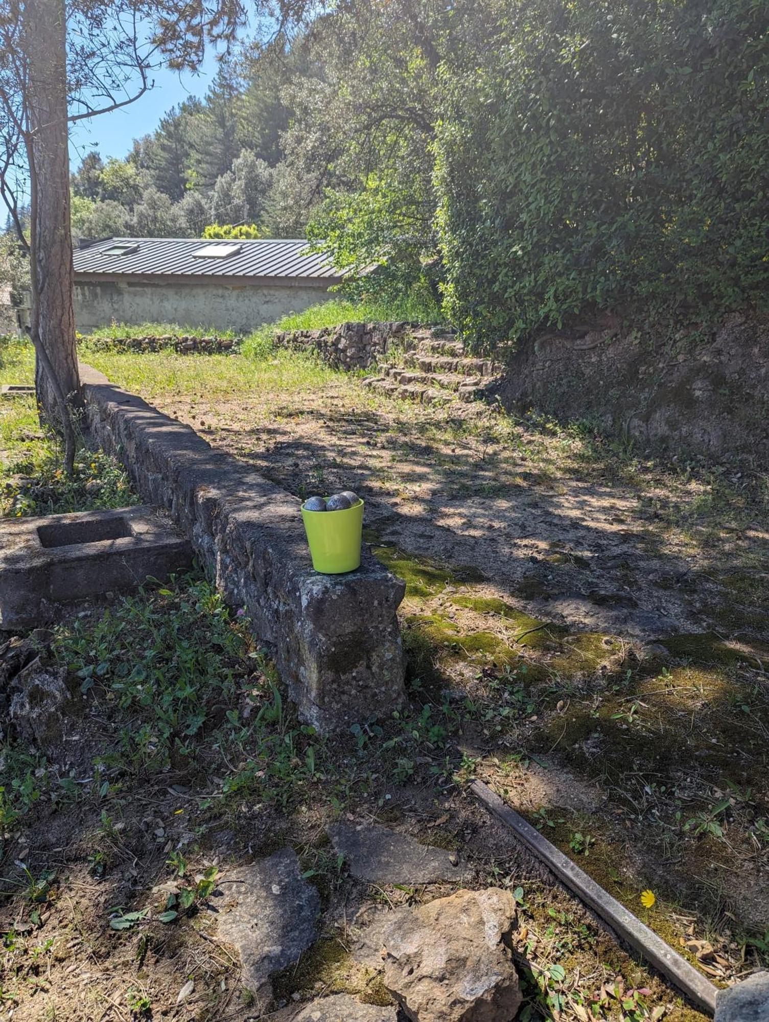 Auberge Des Pins Ομπενά Εξωτερικό φωτογραφία